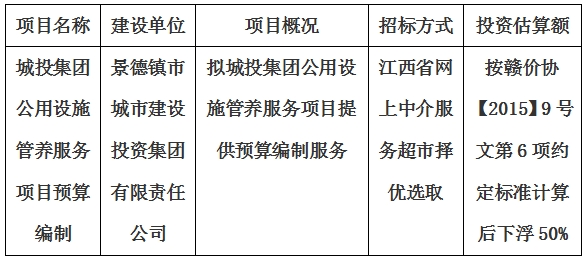 城投集團公用設(shè)施管養(yǎng)服務(wù)項目預(yù)算編制計劃公告