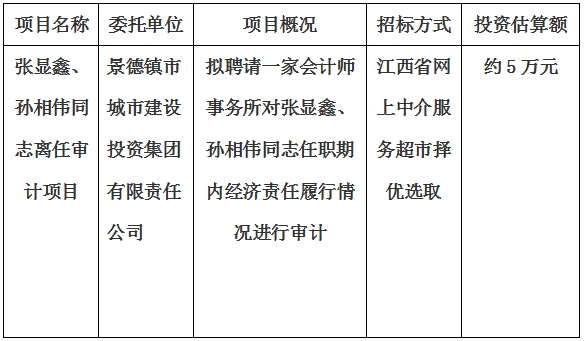 張顯鑫、孫相偉同志離任審計(jì)項(xiàng)目計(jì)劃公告