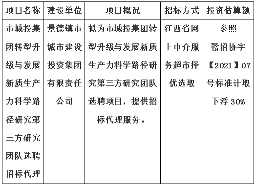 市城投集團(tuán)轉(zhuǎn)型升級與發(fā)展新質(zhì)生產(chǎn)力科學(xué)路徑研究第三方研究團(tuán)隊(duì)選聘招標(biāo)代理計劃公告