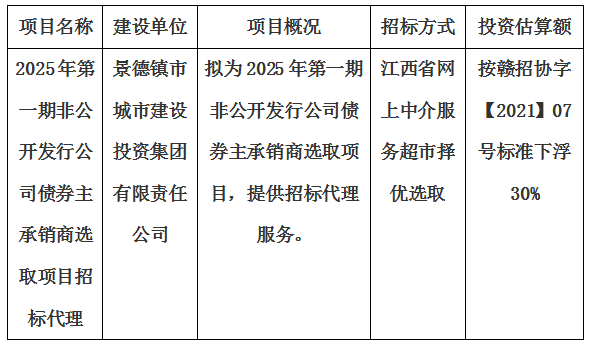 2025年第一期非公開發(fā)行公司債券主承銷商選取項(xiàng)目招標(biāo)代理計劃公告