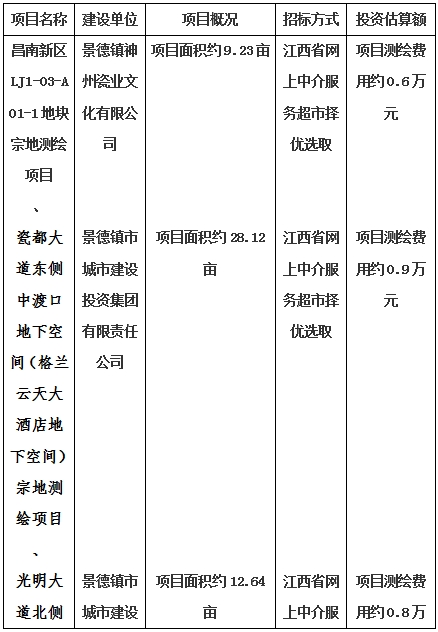 景德鎮(zhèn)市昌南新區(qū)LJ1-03-A01-1地塊、瓷都大道東側中渡口地下空間（格蘭云天大酒店地下空間）、光明大道北側利民路西側地下空間（青少年宮地下空間）、規(guī)劃二路北側地下空間地塊二（加速基地地下空間）、規(guī)劃二路北側地下空間地塊一（加速基地地下空間）、景德大道南側天寶橋西側地塊、景興大道東側如意路北側地下空間(社會公共服務