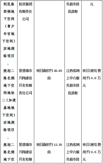 景德鎮(zhèn)市昌南新區(qū)LJ1-03-A01-1地塊、瓷都大道東側中渡口地下空間（格蘭云天大酒店地下空間）、光明大道北側利民路西側地下空間（青少年宮地下空間）、規(guī)劃二路北側地下空間地塊二（加速基地地下空間）、規(guī)劃二路北側地下空間地塊一（加速基地地下空間）、景德大道南側天寶橋西側地塊、景興大道東側如意路北側地下空間(社會公共服務