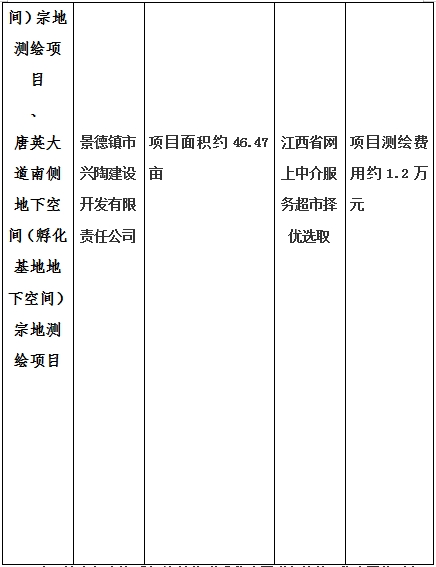 景德鎮(zhèn)市昌南新區(qū)LJ1-03-A01-1地塊、瓷都大道東側中渡口地下空間（格蘭云天大酒店地下空間）、光明大道北側利民路西側地下空間（青少年宮地下空間）、規(guī)劃二路北側地下空間地塊二（加速基地地下空間）、規(guī)劃二路北側地下空間地塊一（加速基地地下空間）、景德大道南側天寶橋西側地塊、景興大道東側如意路北側地下空間(社會公共服務