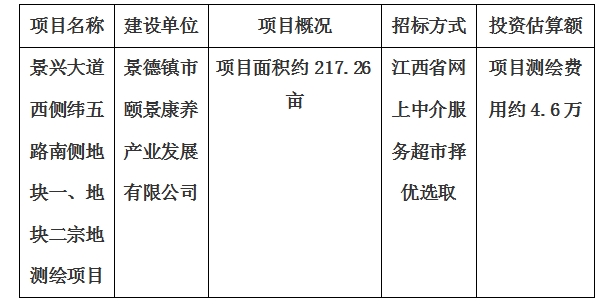 景興大道西側(cè)緯五路南側(cè)地塊一、地塊二宗地