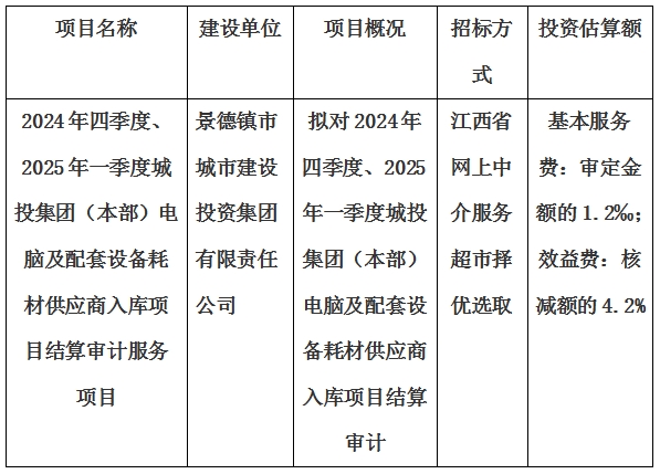 2024年四季度、2025年一季度城投集團（本部）電腦及配套設(shè)備耗材供應(yīng)商入庫項目結(jié)算審計服務(wù)項目計劃公告